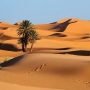 sahara.jpg